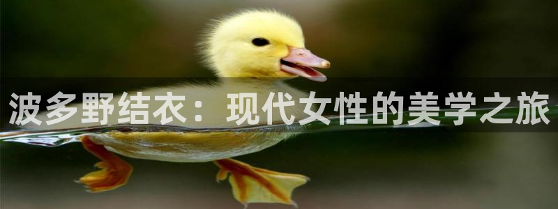 波多野结衣：现代女性的美学之旅