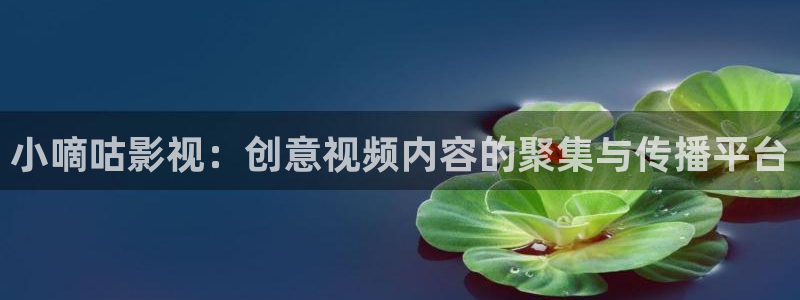 小嘀咕影视：创意视频内容的聚集与传播平台