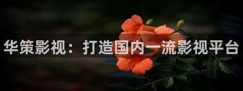 华策影视：打造国内一流影视平台