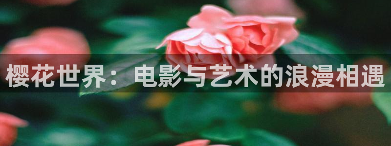 樱花世界：电影与艺术的浪漫相遇