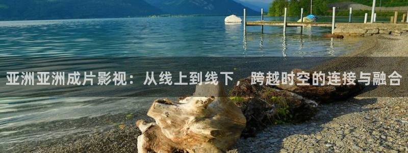 亚洲亚洲成片影视：从线上到线下，跨越时空的连接与融合