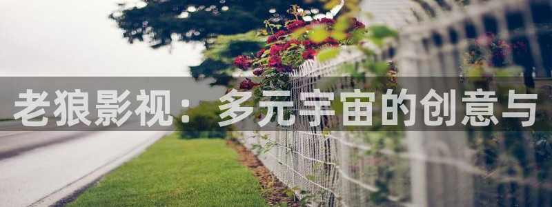 老狼影视：多元宇宙的创意与