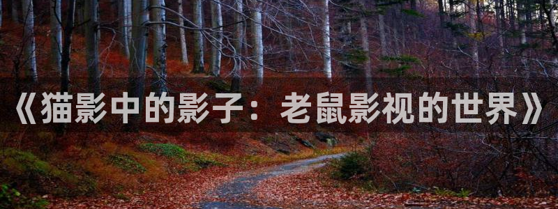《猫影中的影子：老鼠影视的世界》
