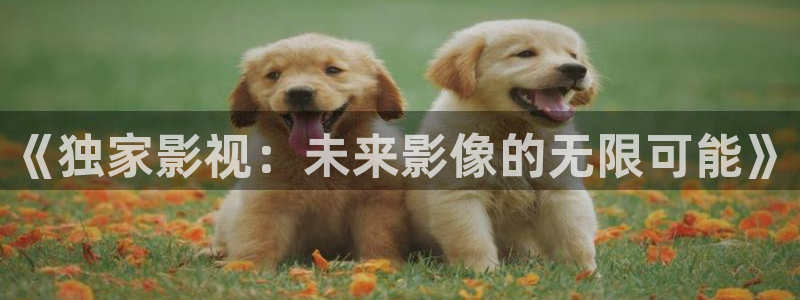 《独家影视：未来影像的无限可能》