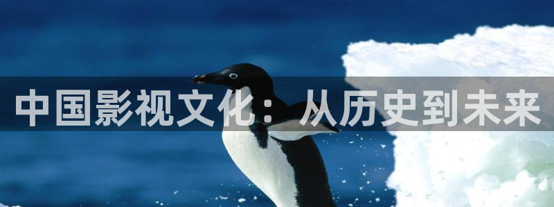中国影视文化：从历史到未来